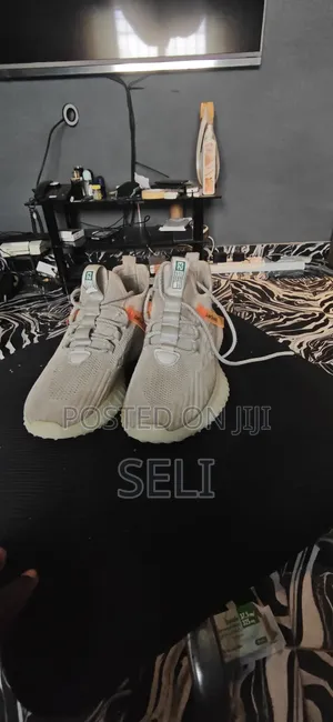 Yeezy Shoe