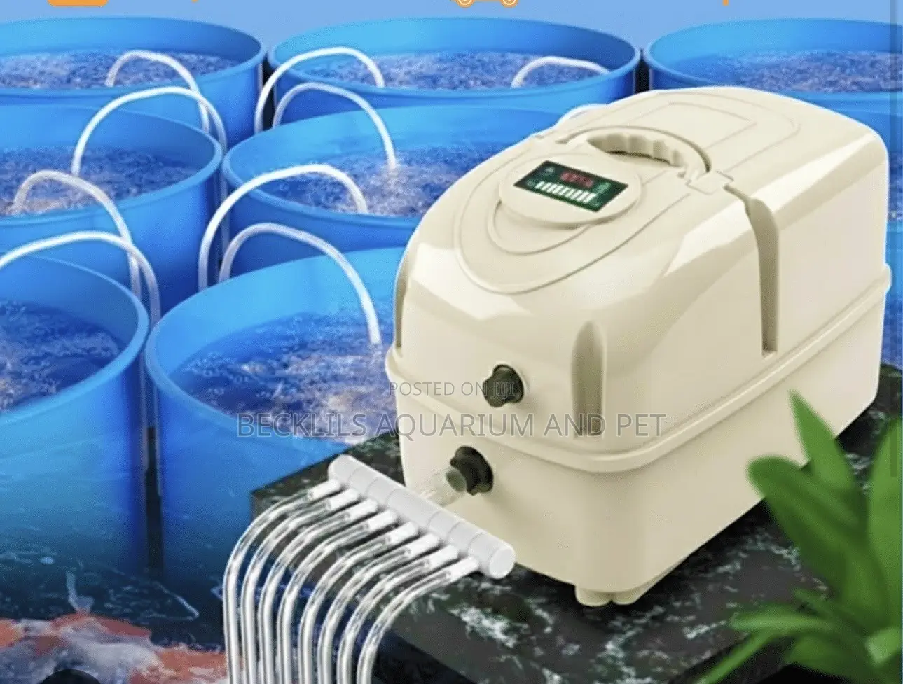 Halea AC/Dc Pump (6 Outlet)