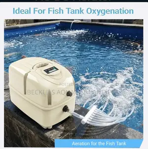 Halea AC/Dc Pump (6 Outlet)