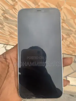 Apple iPhone 12 Pro Max 256 GB Blue