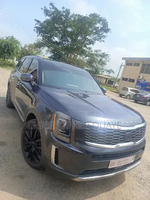 Kia Telluride 2020 Gray