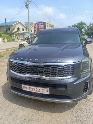 Kia Telluride 2020 Gray