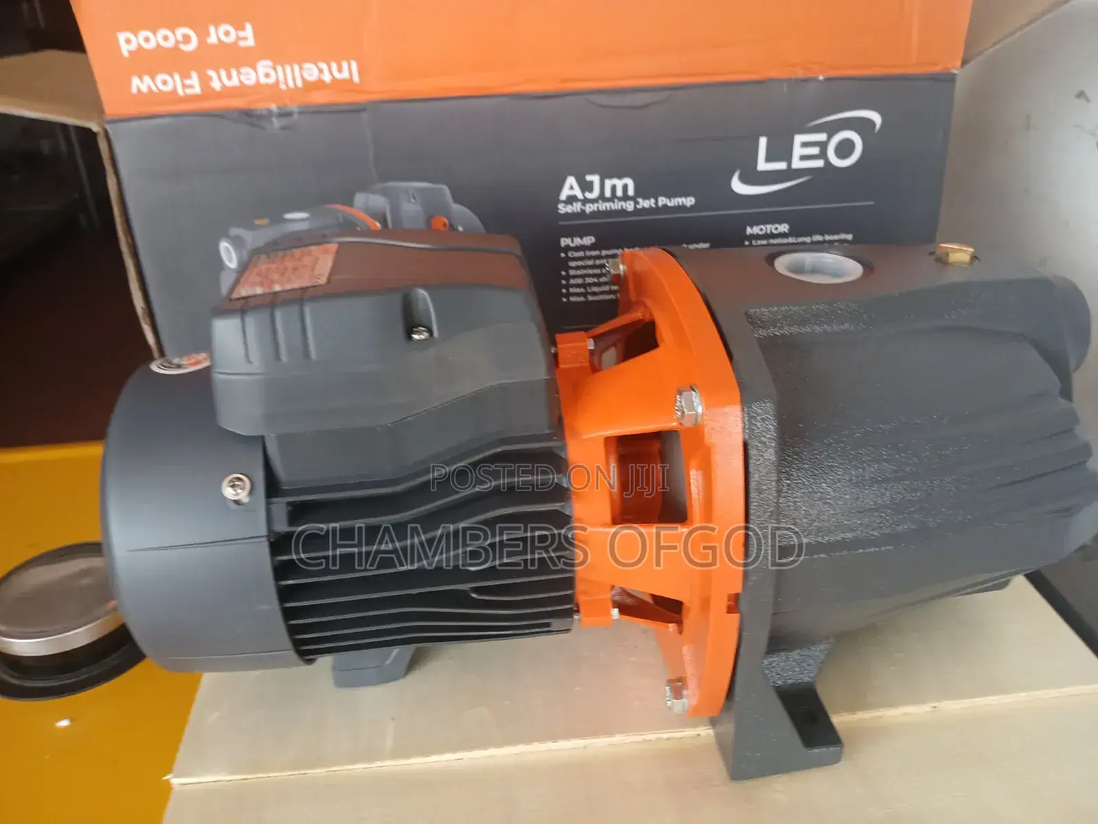 Leo Water Pump