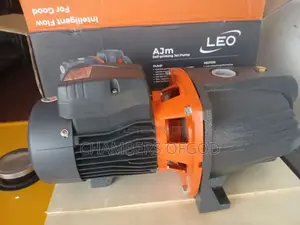 Leo Water Pump