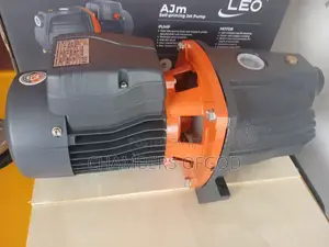 Leo Water Pump