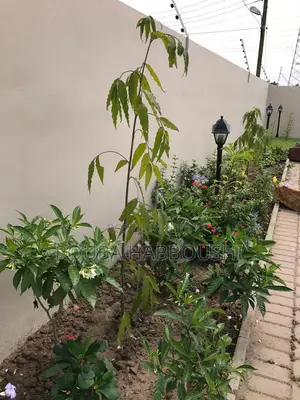 3bdrm House in Ridgeview Gardens, New Legon for sale