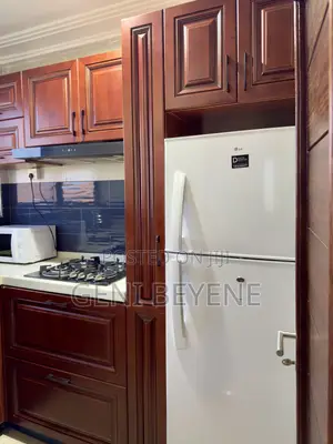 Furnished 1bdrm Apartment in Tseaddo for rent
