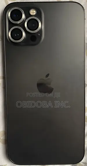 Apple iPhone 12 Pro Max 256 GB Gray
