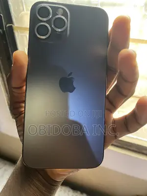 Apple iPhone 12 Pro Max 256 GB Gray