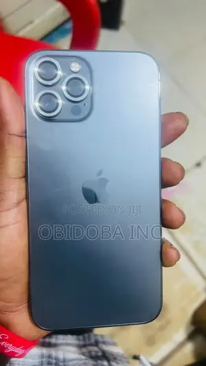 Apple iPhone 12 Pro Max 256 GB Gray