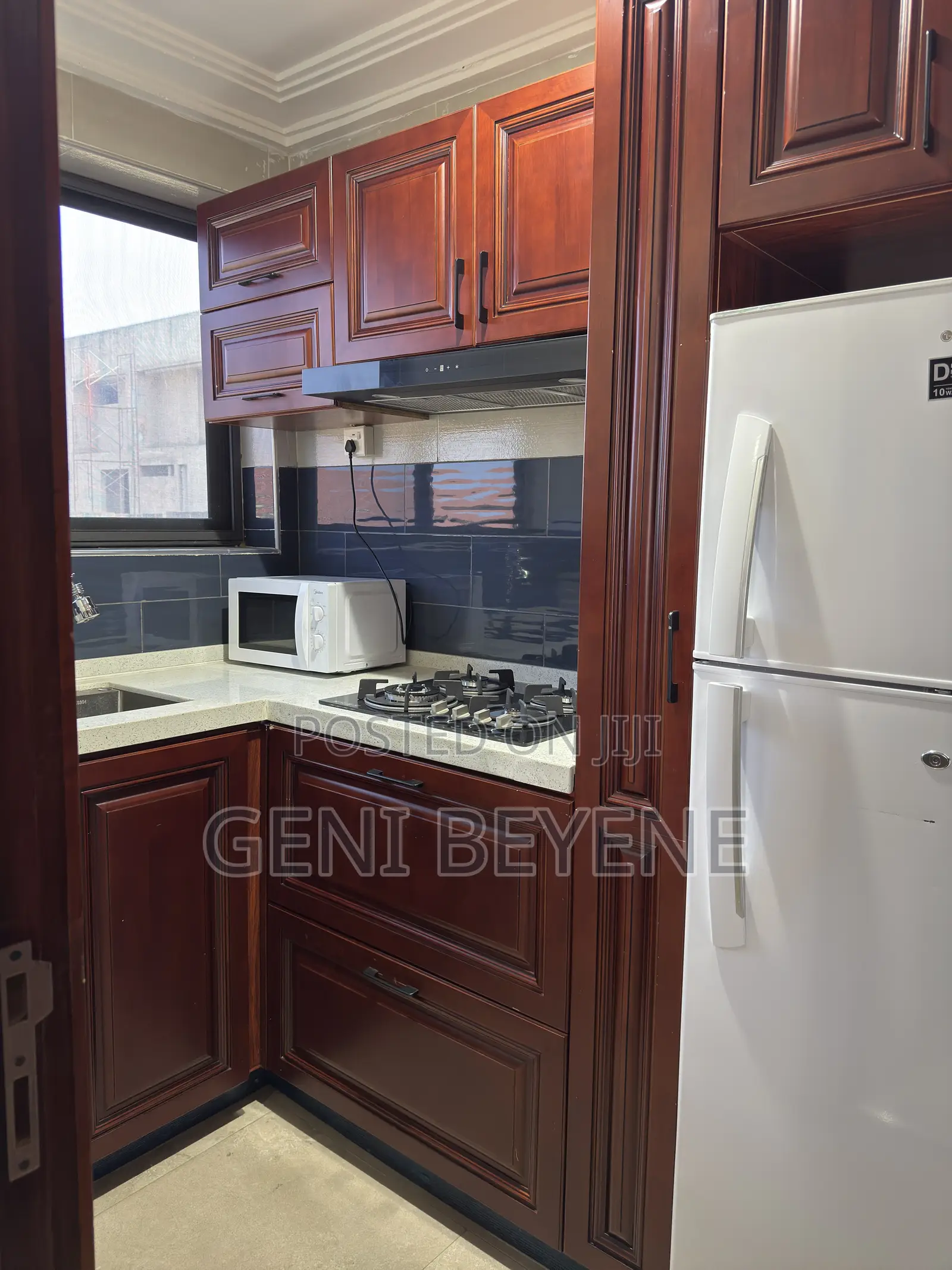 Furnished 1bdrm Apartment in Tseaddo for rent