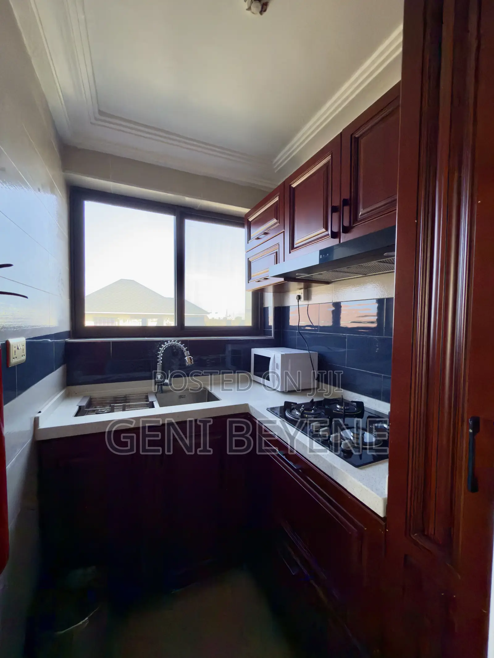 Furnished 1bdrm Apartment in Tseaddo for rent
