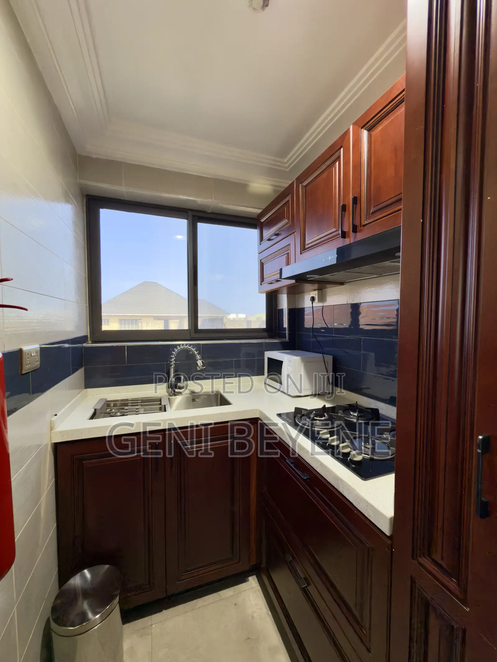 Furnished 1bdrm Apartment in Tseaddo for rent