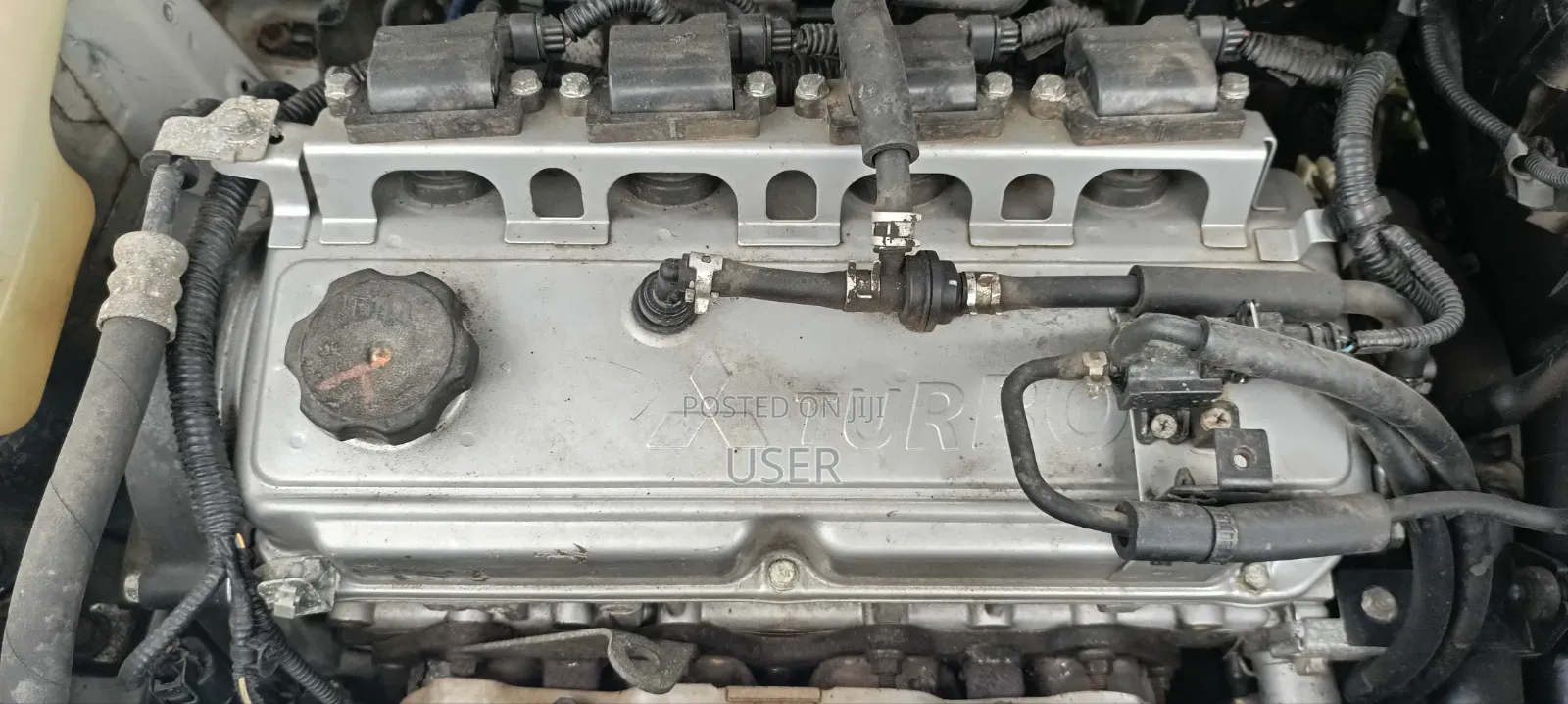Land Rover Range Rover 2024 White