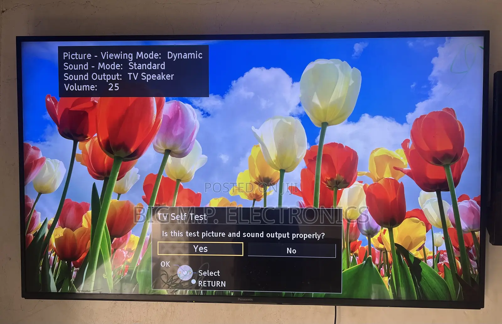 PANASONIC 55 Inches Smart Digital Satellite. UHD Display.