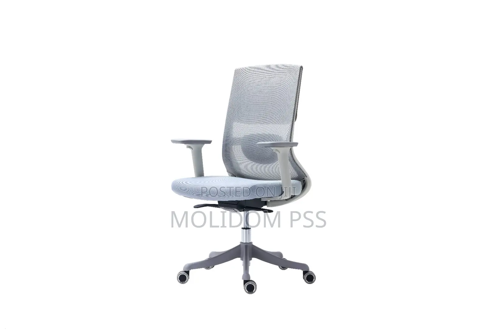 Mesh Back Egornomic Chair