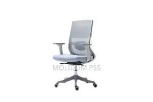 Mesh Back Egornomic Chair