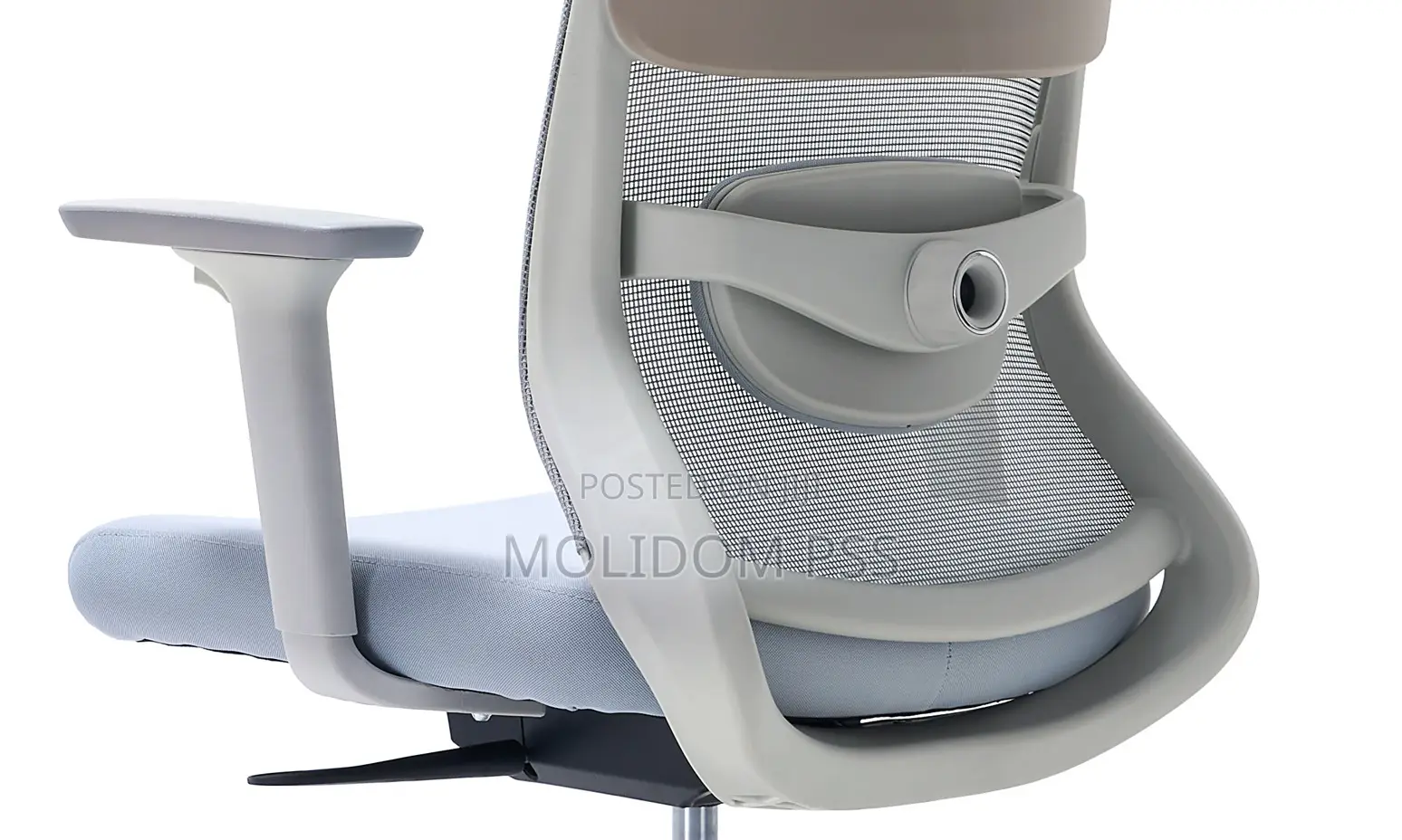 Mesh Back Egornomic Chair