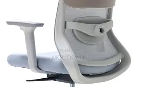 Mesh Back Egornomic Chair
