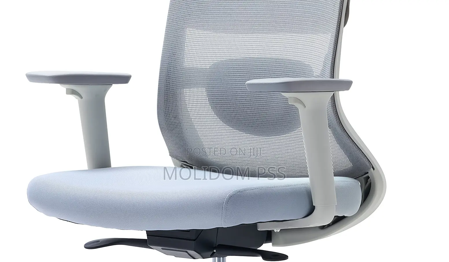 Mesh Back Egornomic Chair