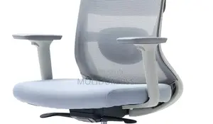 Mesh Back Egornomic Chair