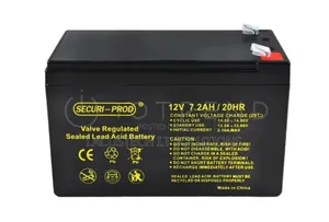 Long Battery 12 Volts