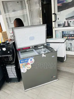 Lovely Design Nasco Single Door Chest Freezer(Nas-425fl)Gray 