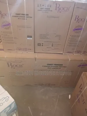 The Giant Chill: Roch 708L Double-Door Freezer