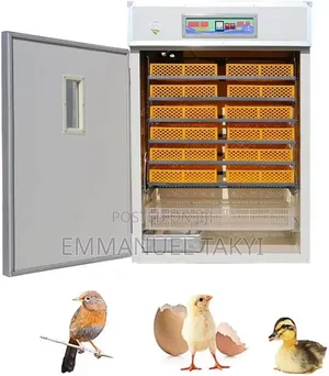 Egg Incubator