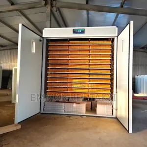 Egg Incubator