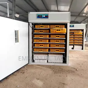 Egg Incubator