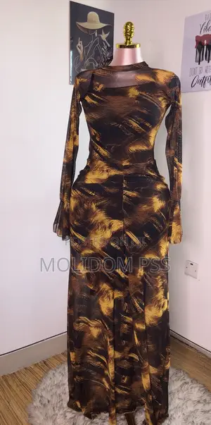 Mesh Dress Long