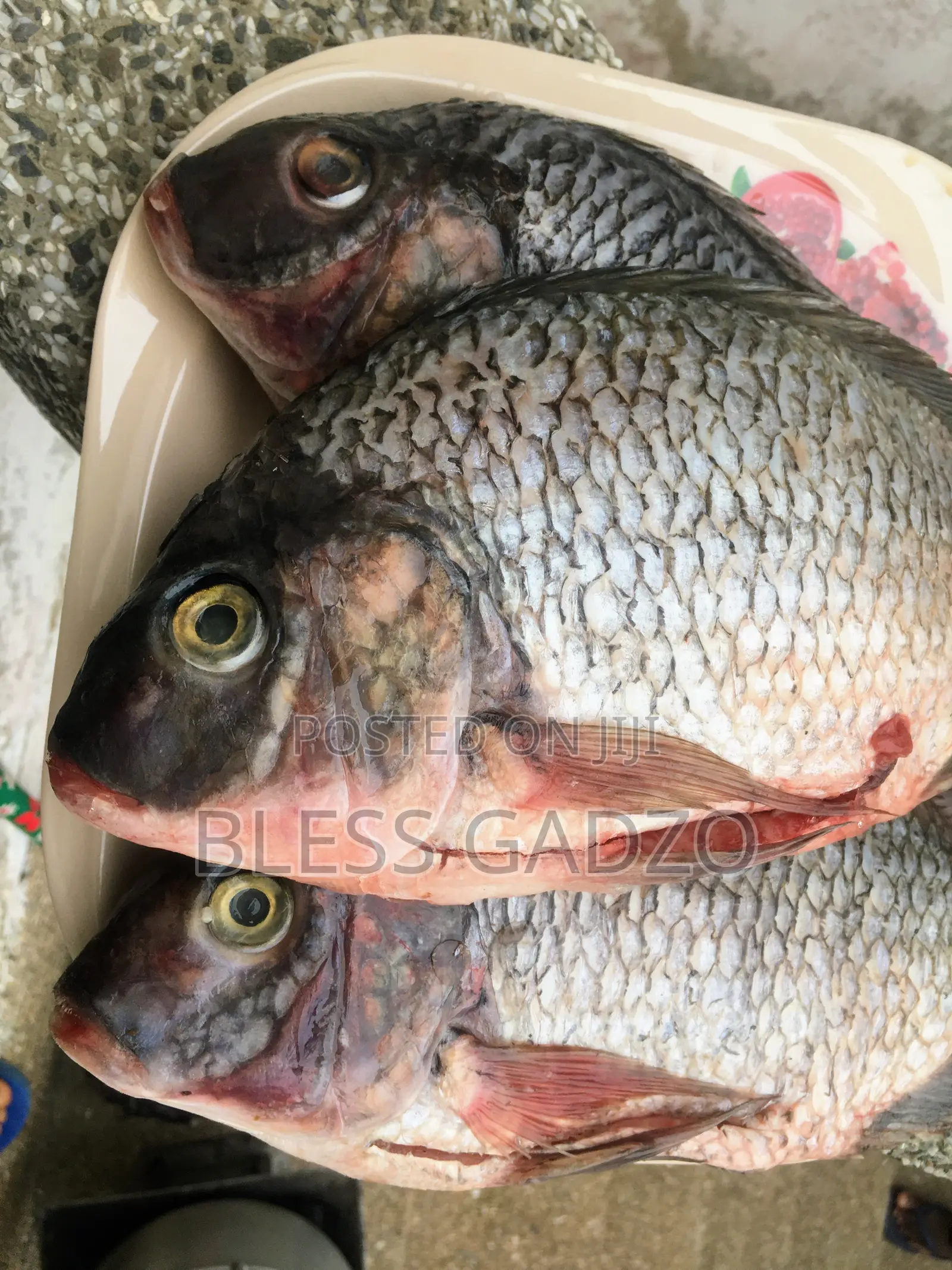 Volta Fresh,smoked and Salted Fish