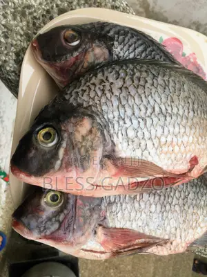 Volta Fresh,smoked and Salted Fish