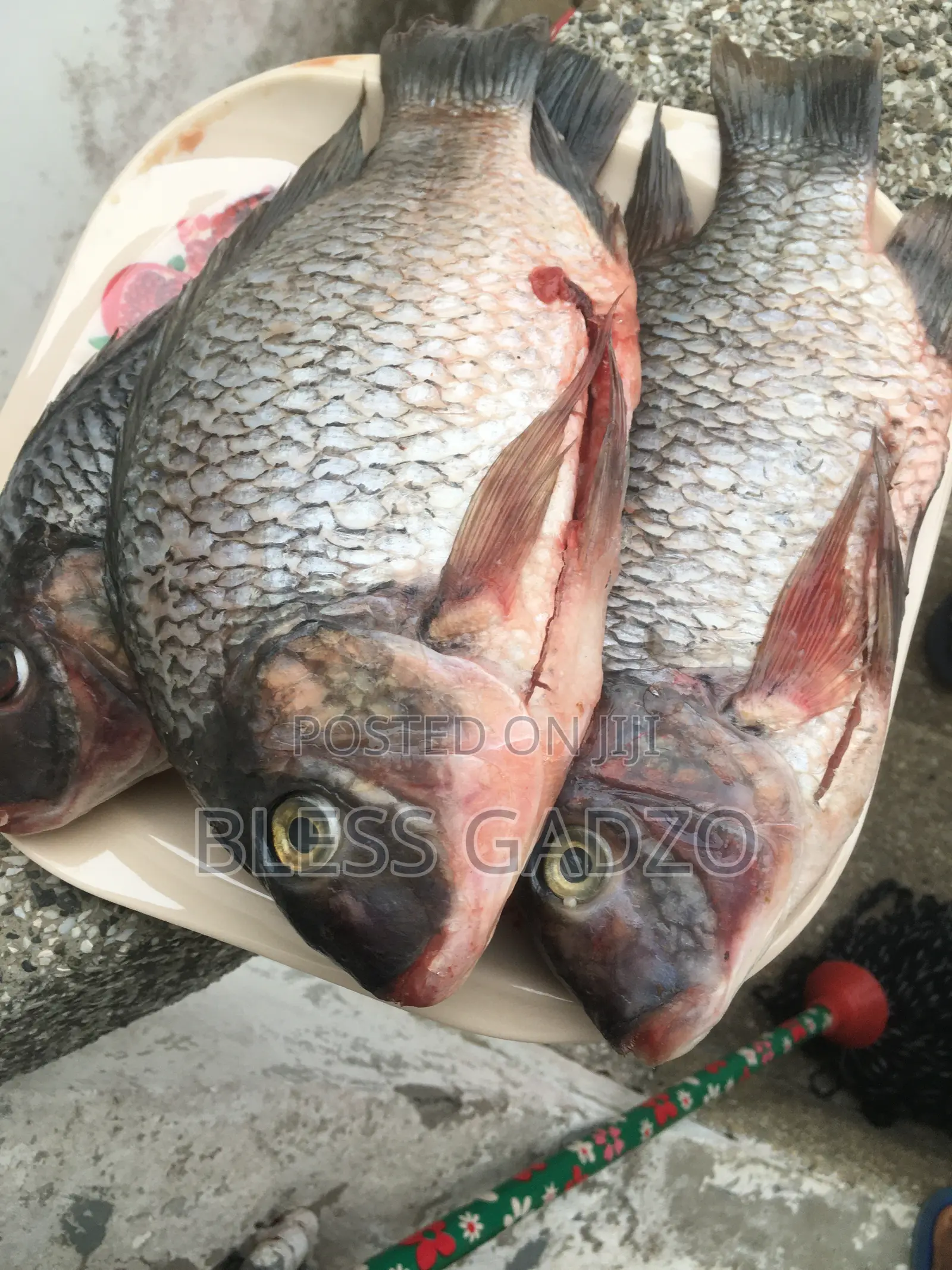 Volta Fresh,smoked and Salted Fish