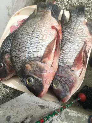 Volta Fresh,smoked and Salted Fish