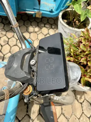 Tricycle 2024 Blue