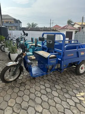 Tricycle 2024 Blue