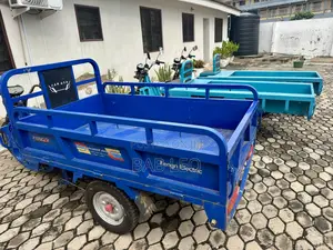 Tricycle 2024 Blue