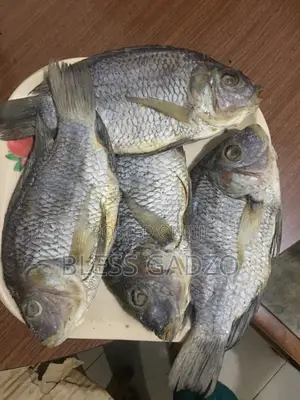 Salted Fish