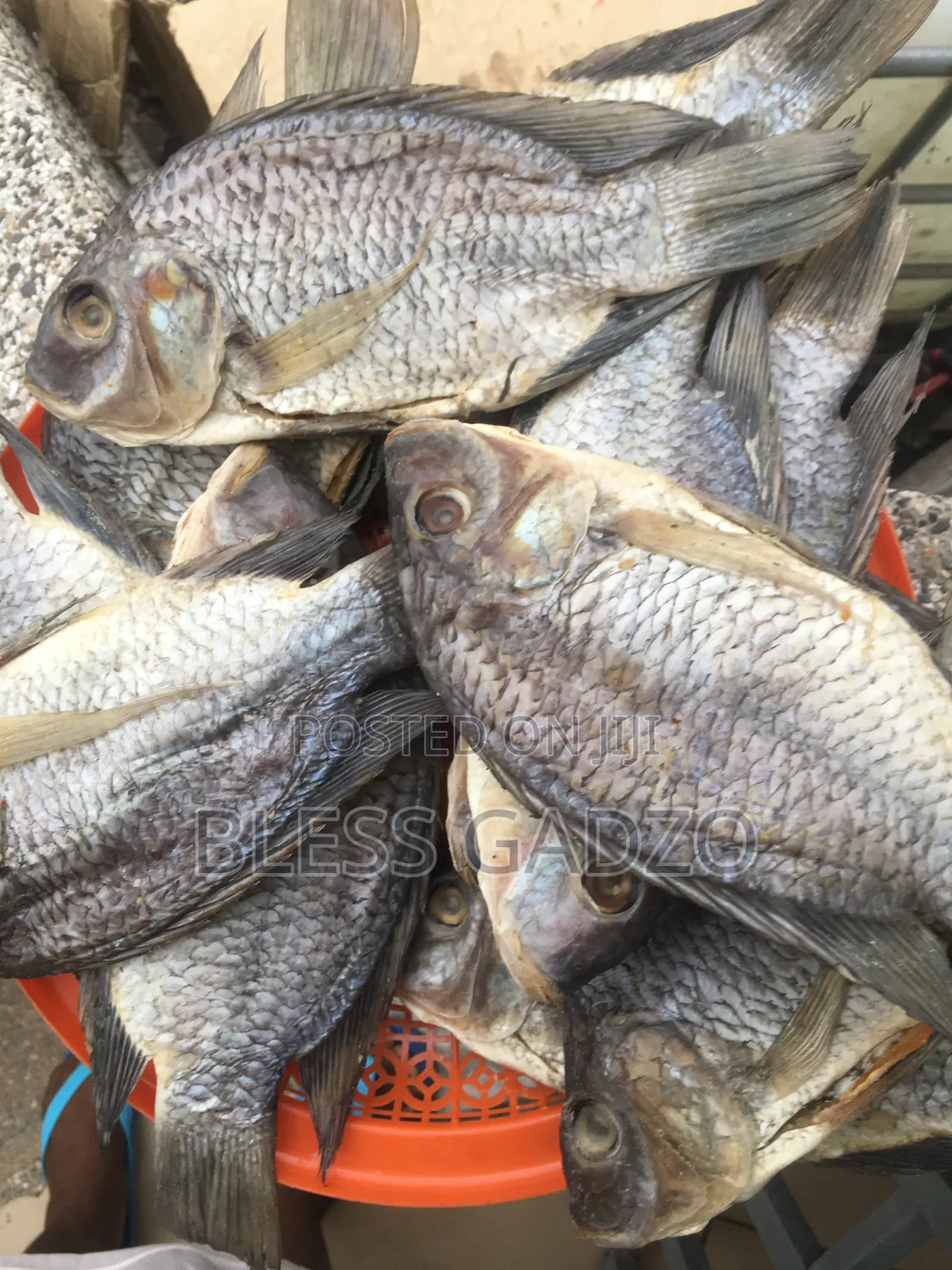 Salted Fish