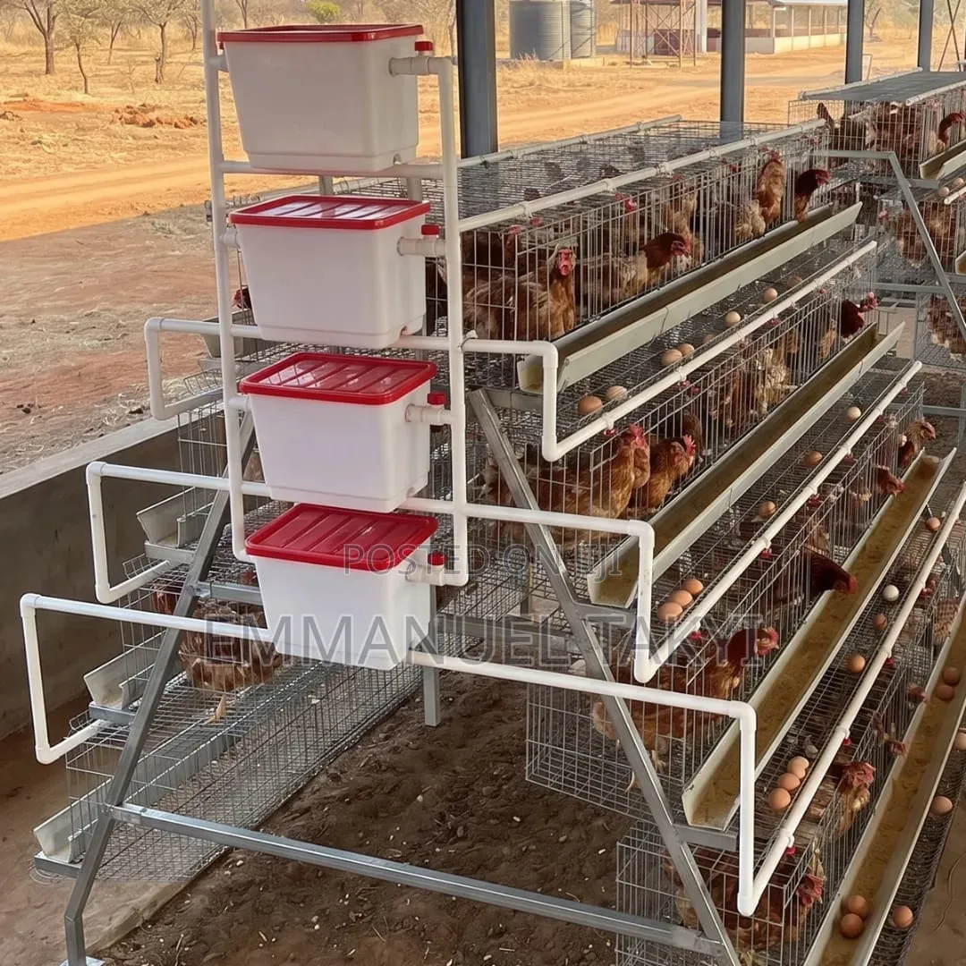Chicken Cage 4--Tier a-Shape
