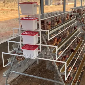 Chicken Cage 4--Tier a-Shape