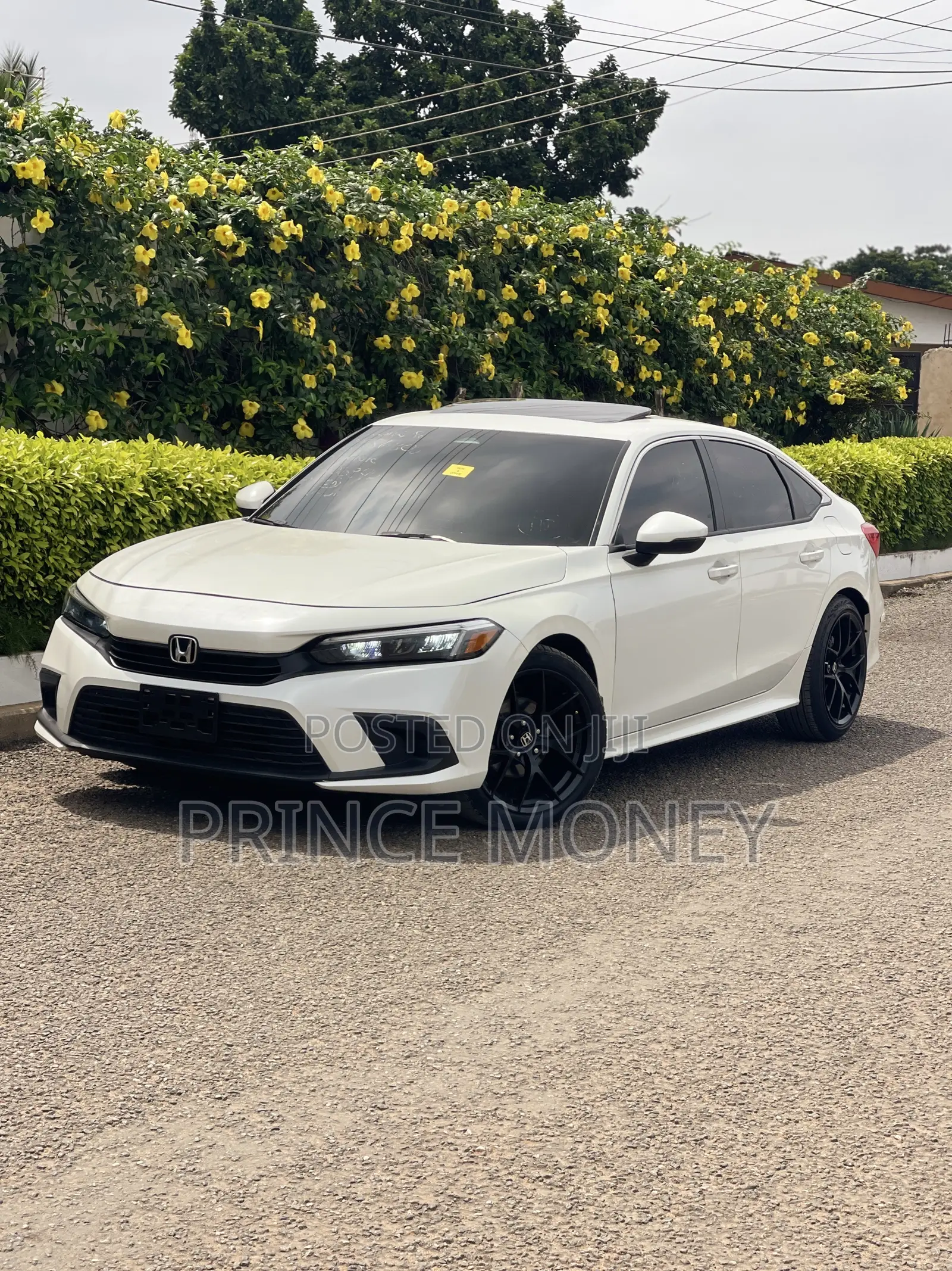 Honda Civic 2023 White