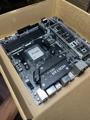 Ryzen 5 5500 + MSI B450m Mortar Max