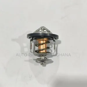 All Kinds of Engine Thermostat