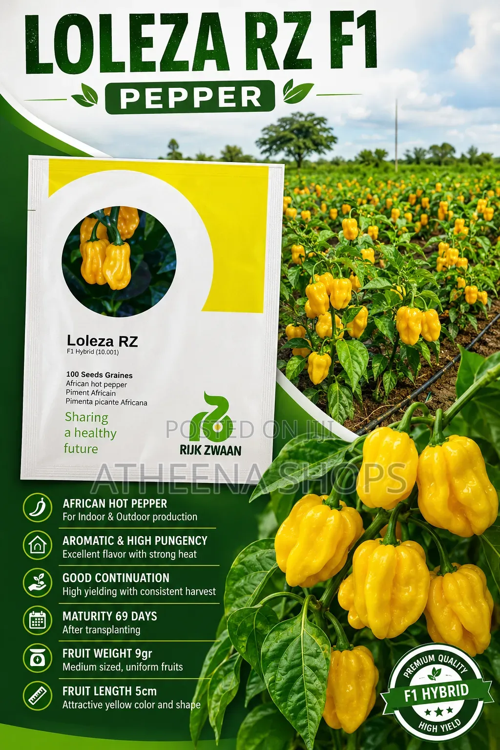 Loleza Fz Habanero Seeds