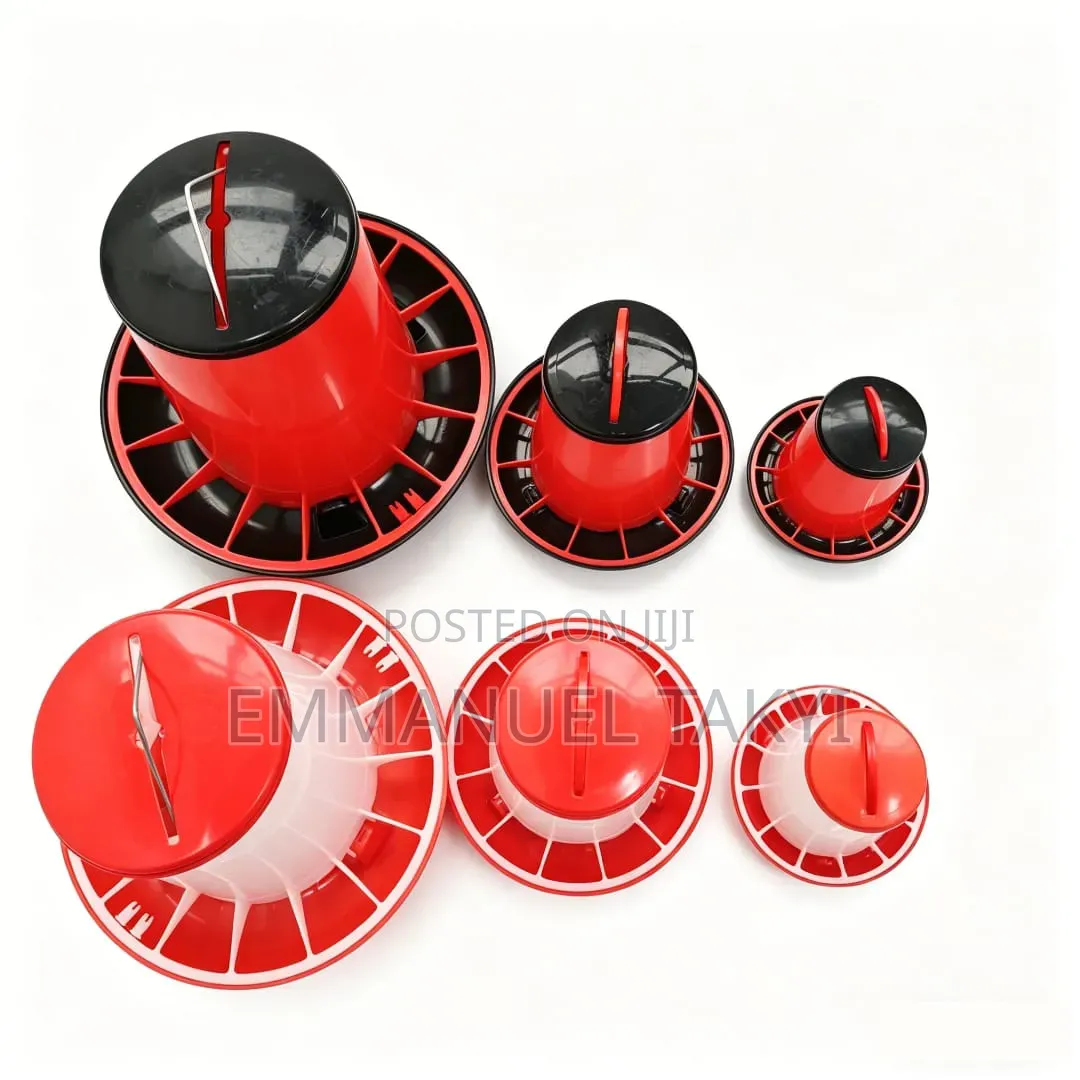 Chicken Feeders Trough