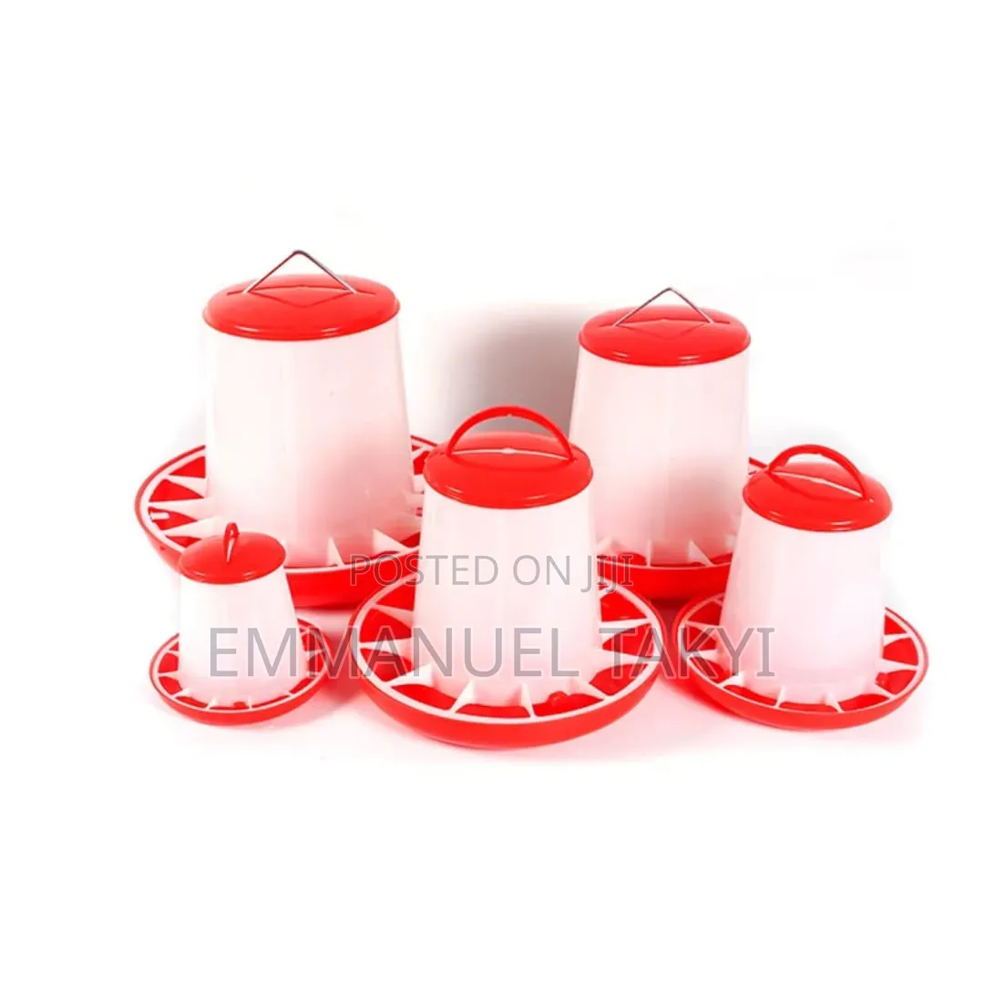 Chicken Feeders Trough