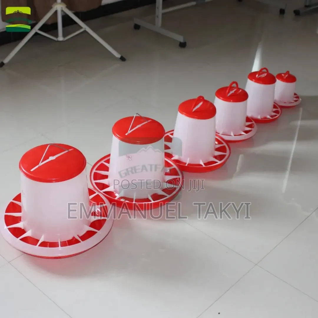 Chicken Feeders Trough